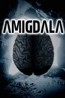 Amigdala