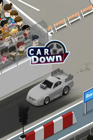 Car Down