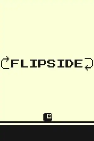 Flipside