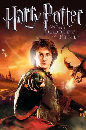 Гарри Поттер и Кубок Огня (игра)
