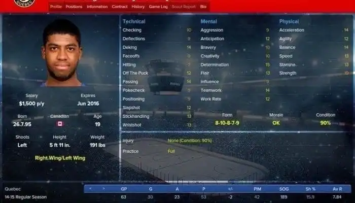 Ice Hockey Manager 2009 — изображение 1