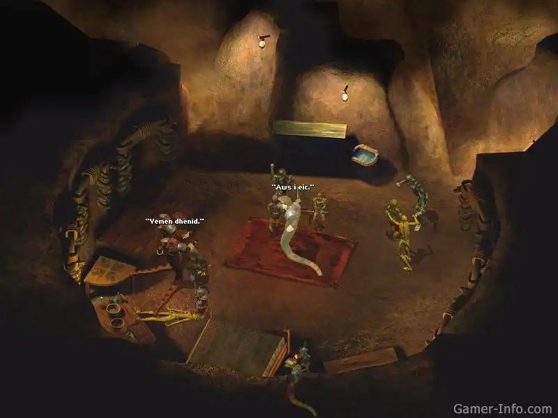 Icewind Dale 2 по сети — изображение 1
