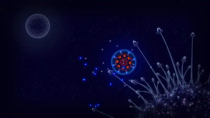 Microcosmum: survival of cells — изображение 1