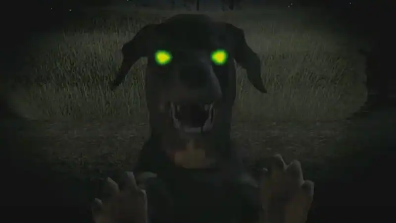 Nancy Drew: Ghost Dogs of Moon Lake — изображение 1