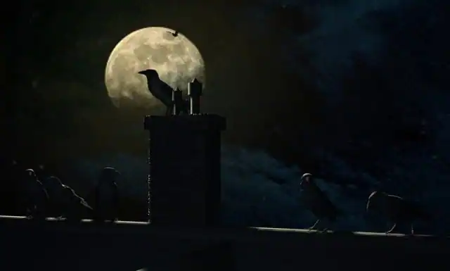 Nancy Drew: The Haunting of Castle Malloy — изображение 1