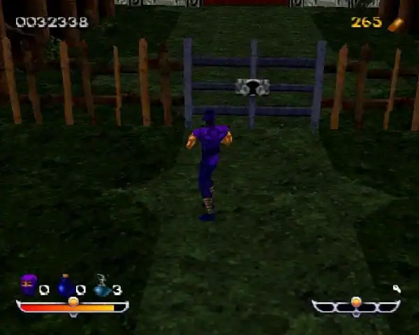 Ninja: Shadow of Darkness — изображение 1