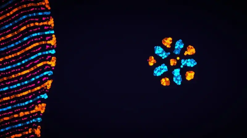 Parametric Creature: Lab — изображение 1