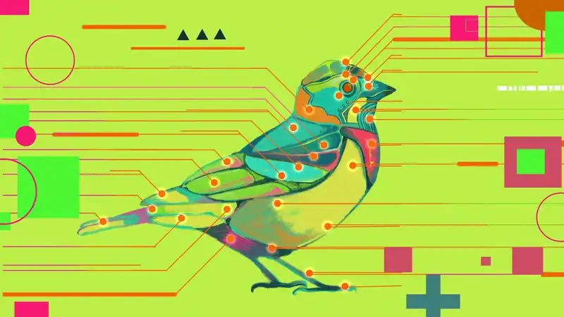Avian Enigma — изображение 1