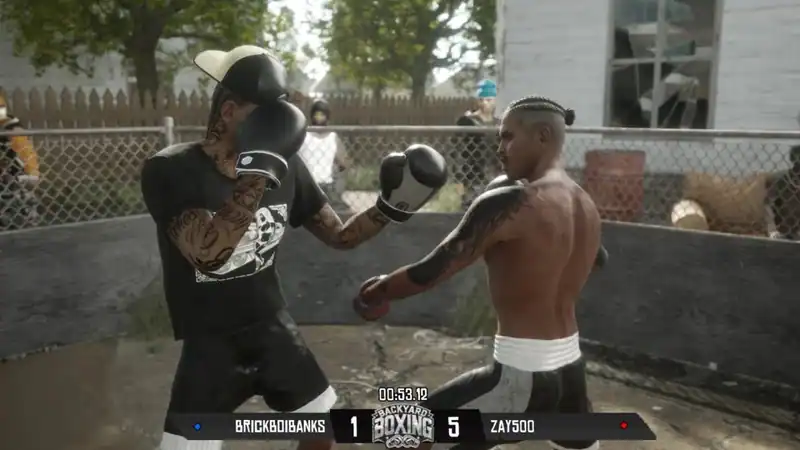 Backyard Boxing — изображение 1