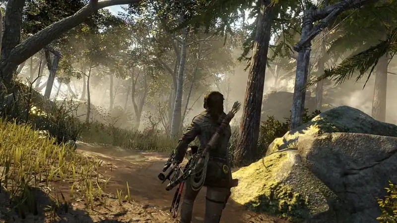Rise of the Tomb Raider по сети — изображение 1