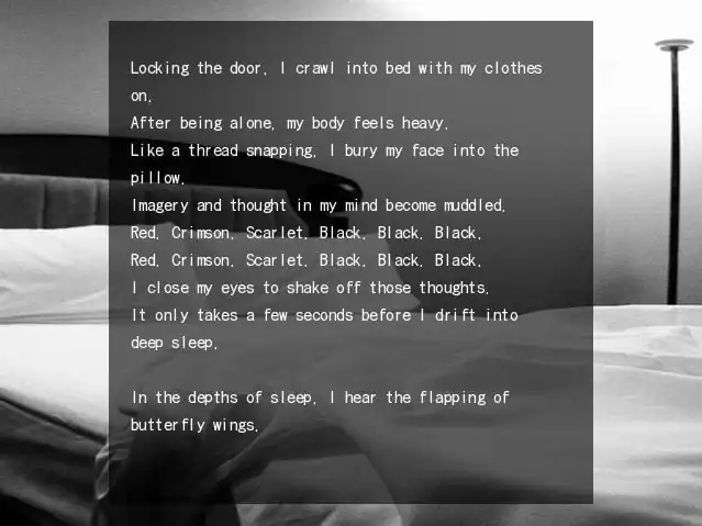 Ballad of an Evening Butterfly — изображение 1