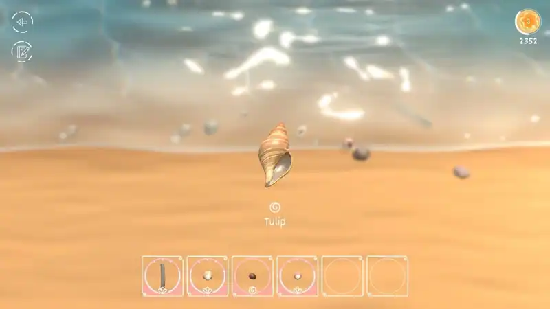 Seashell — изображение 1