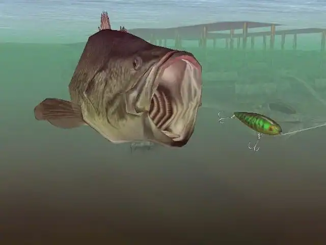 SEGA Bass Fishing Duel — изображение 1