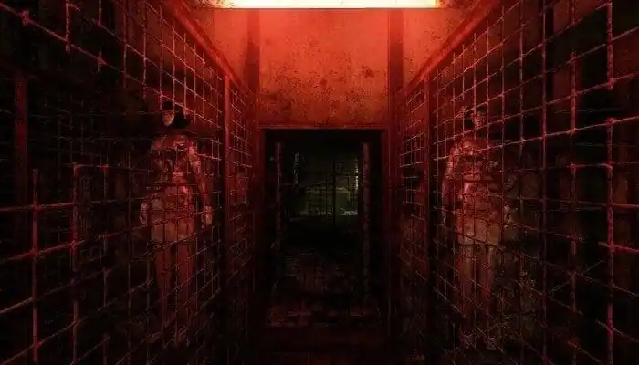 Silent Hill: Alchemilla — изображение 1