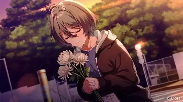 SINce Memories: Off The Starry Sky — изображение 1