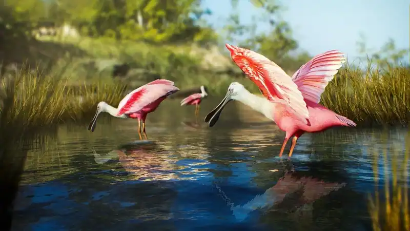 Birding Simulator: Bird Photographer — изображение 1