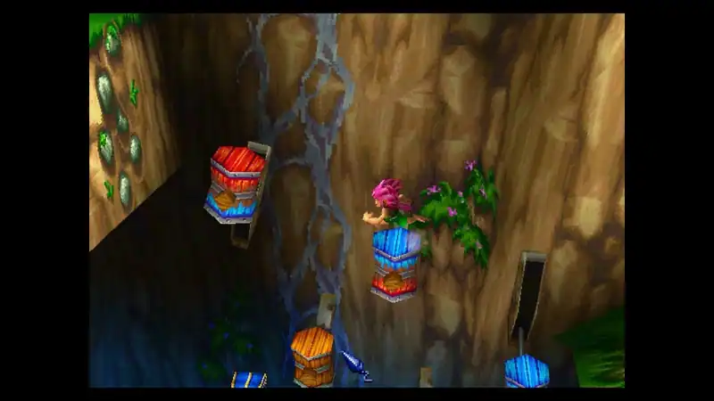 Tomba! 2: The Evil Swine Return Special Edition — изображение 1