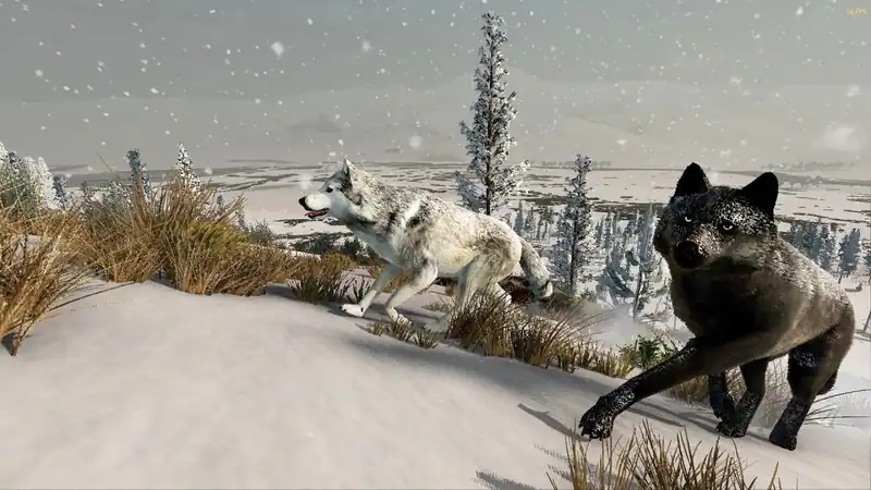 WolfQuest Anniversary Edition по сети — изображение 1