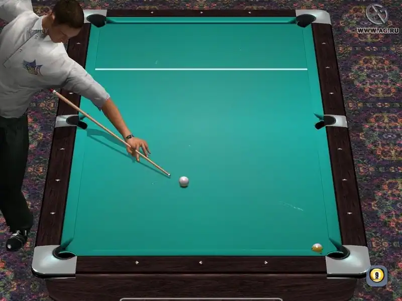 World Championship Pool 2004 — изображение 1