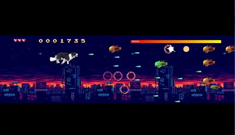 BorderCollie Blaster — изображение 1