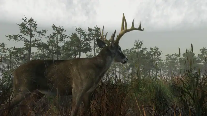 Deer Hunting Camp — изображение 1