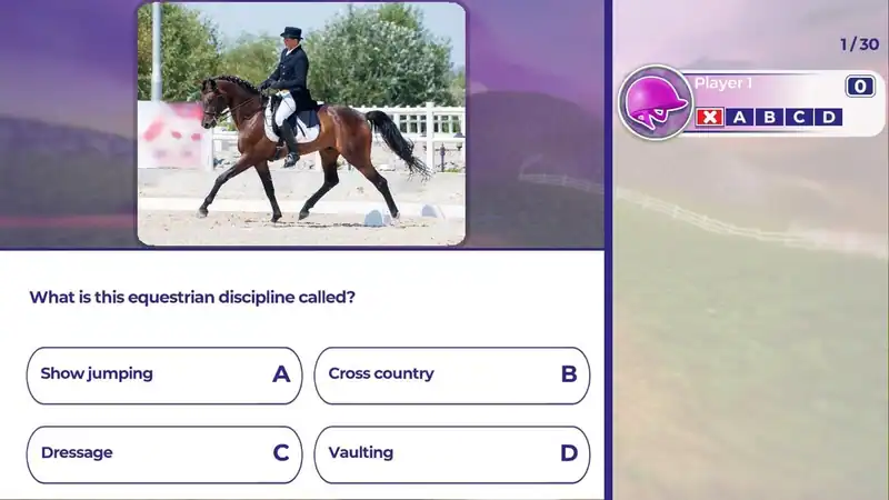 Equestrian Training — изображение 1
