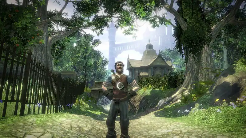 Fable 2 — изображение 1