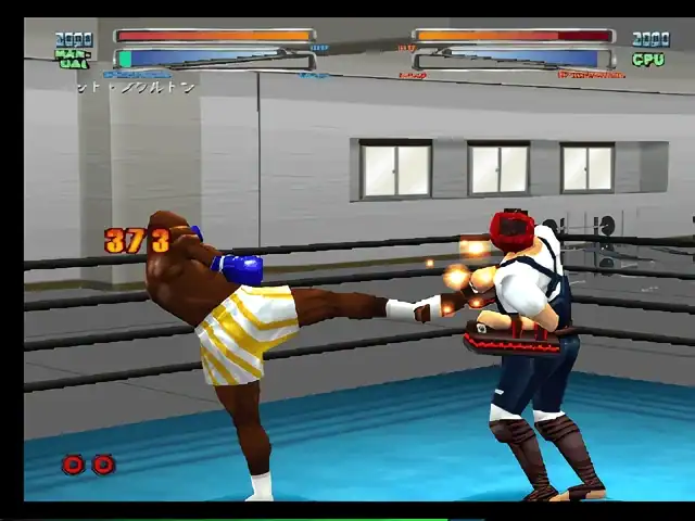 Fighting Illusion K1 GP 2000 — изображение 1