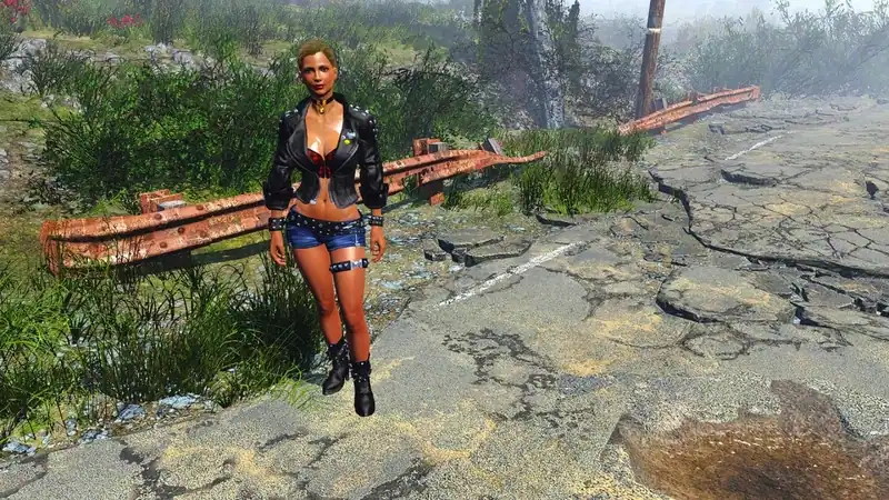FO4GS — изображение 1