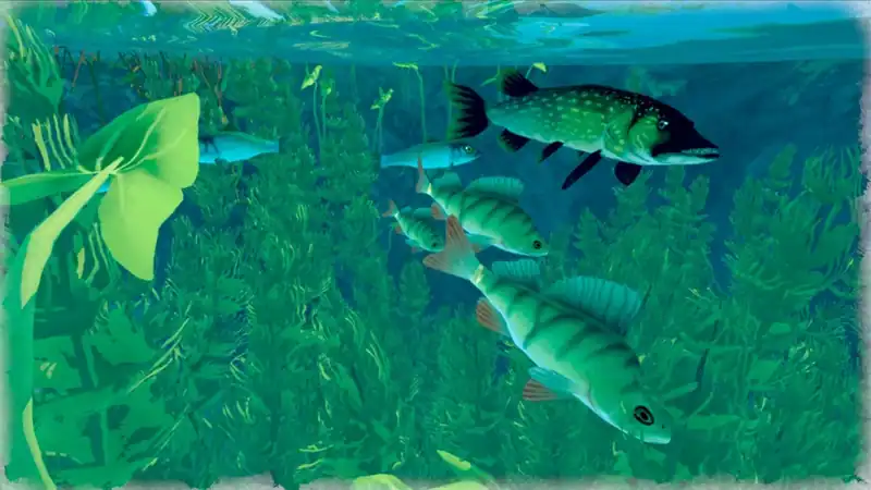 Among Ripples: Shallow Waters — изображение 1