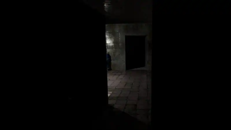 Hanefield Asylum — изображение 1