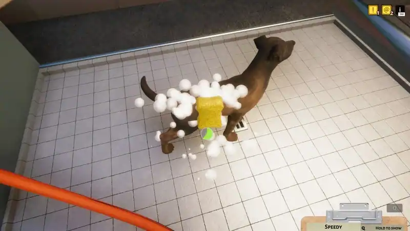 Animal Shelter — изображение 1