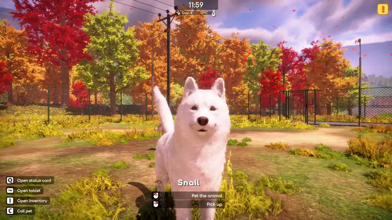 Animal Shelter 2 по сети — изображение 2