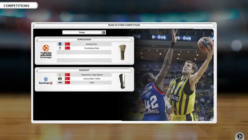 International Basketball Manager — изображение 1