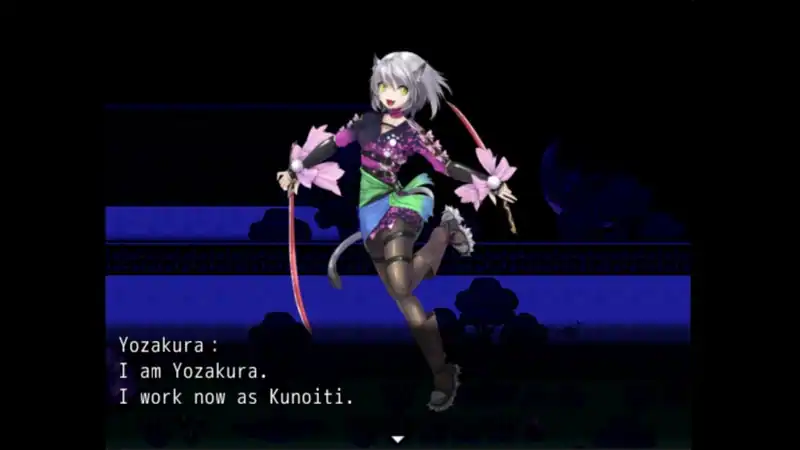 Kunoichi Ninja — изображение 2