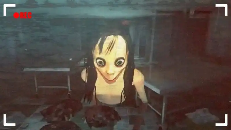 Momo is Here — изображение 1