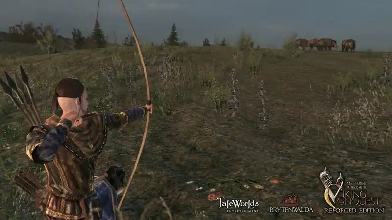 Mount and Blade: Warband - Viking Conquest Reforged Edition — изображение 1