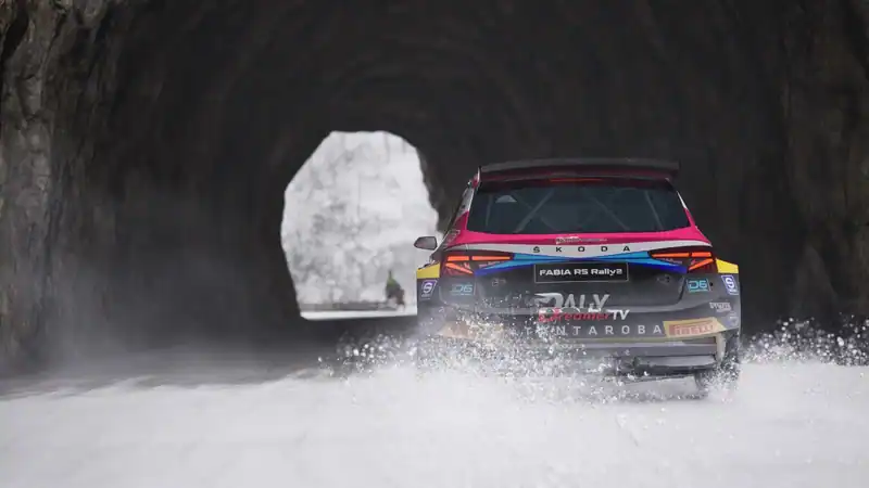 Assetto Corsa Rally — изображение 1