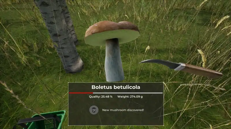 Mushroom Hunter World — изображение 1