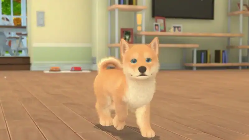 My Universe - Puppies and Kittens — изображение 1