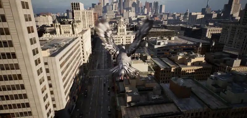 Pigeon Flight Simulator — изображение 2