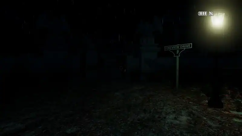 Pineview Drive - Homeless — изображение 1