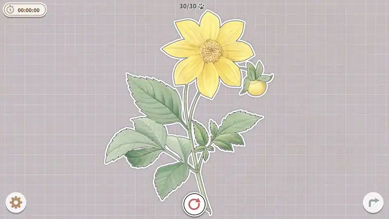 Plants Huddled Together — изображение 2