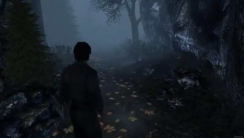 Silent Hill Downpour — изображение 2