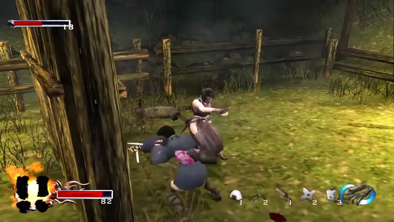 Tenchu: Fatal Shadows — изображение 2