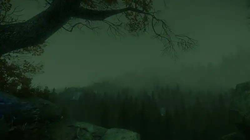 The Cursed Forest — изображение 1