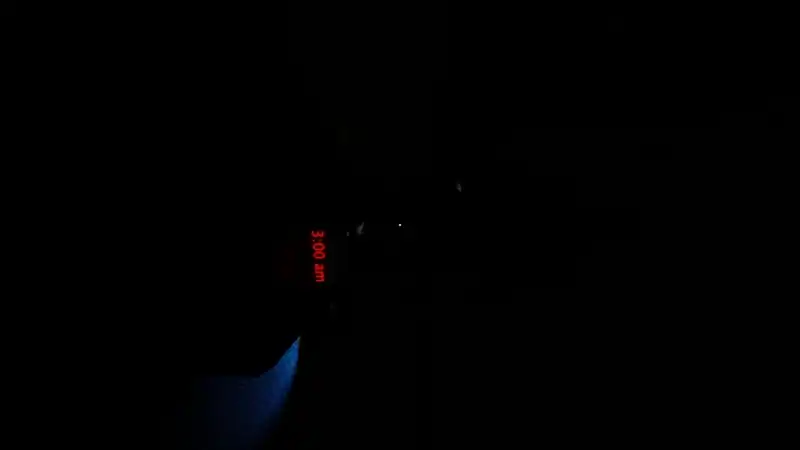 The Entity — изображение 1