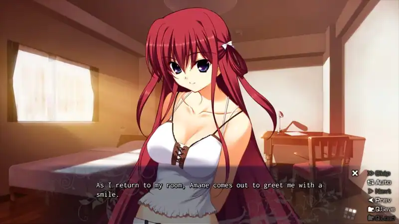 The Labyrinth of Grisaia — изображение 1