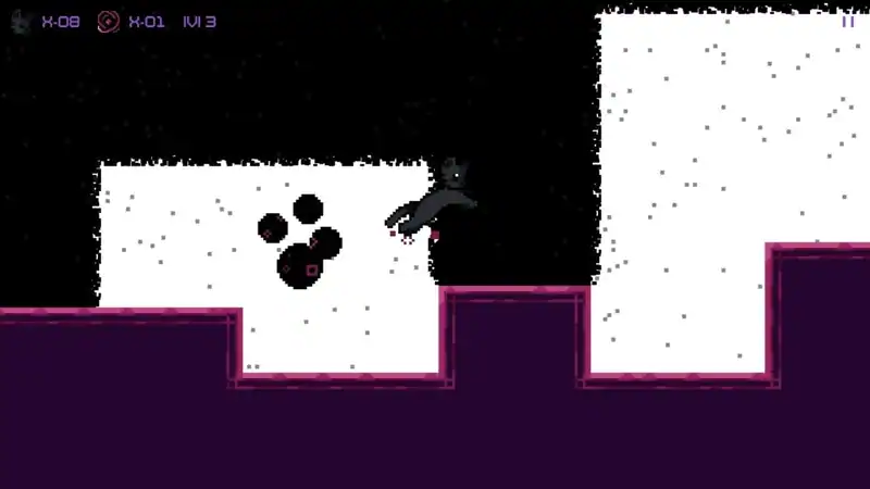 The Quantum Cat — изображение 1