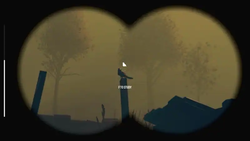 Birds Watching — изображение 1